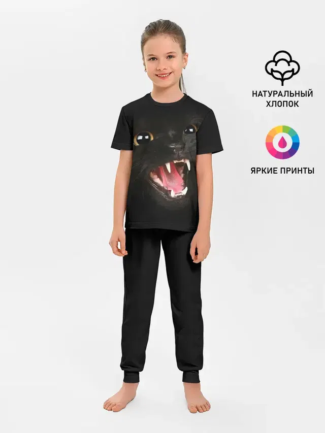 Черный кот