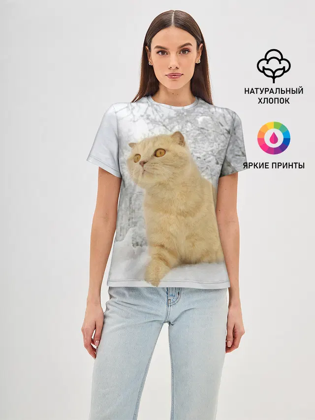 Кот и снег