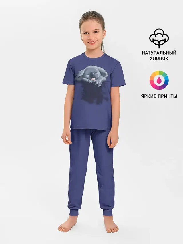 Спящая коала