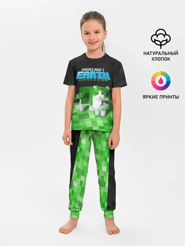 Minecraft EARTH - Котик