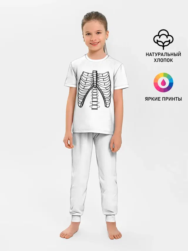 ребра скелета