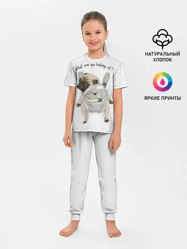 Мопс в рюкзаке