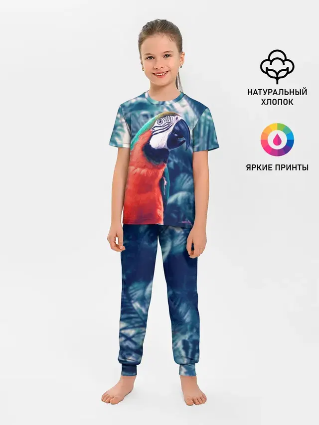 Попугай