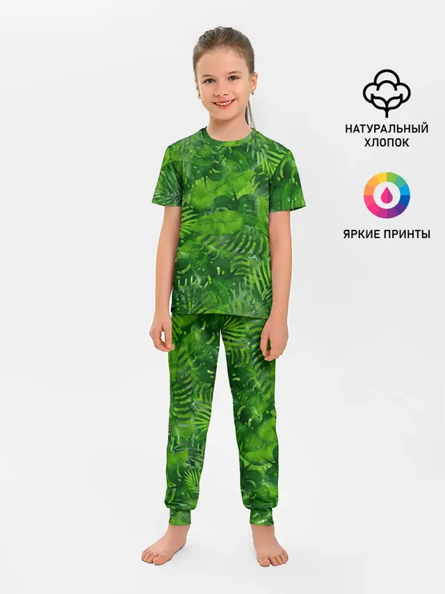 Тропики