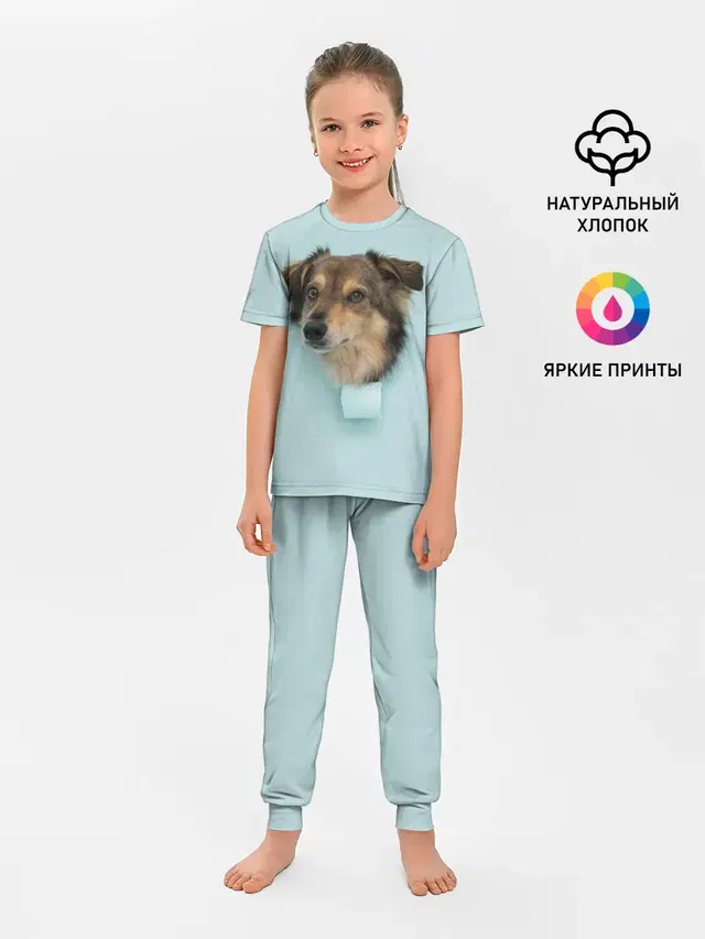 Беспородная Собака дворняга / A Dog