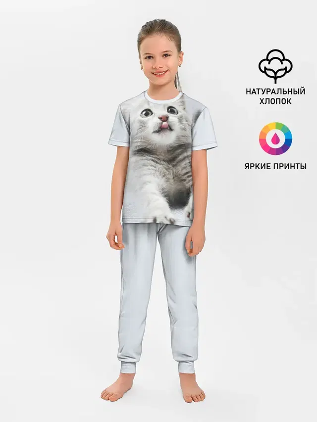 серый котенок