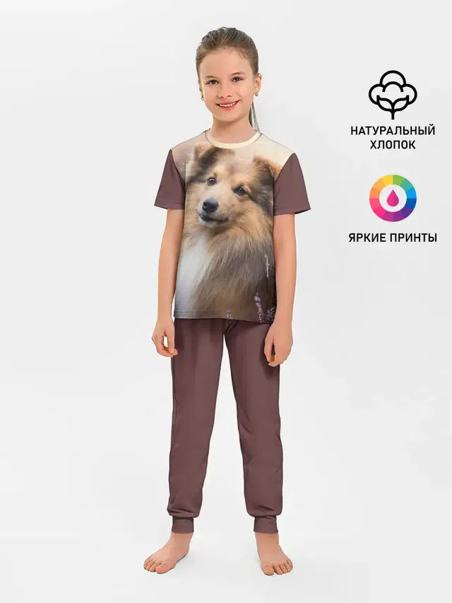 Шелти