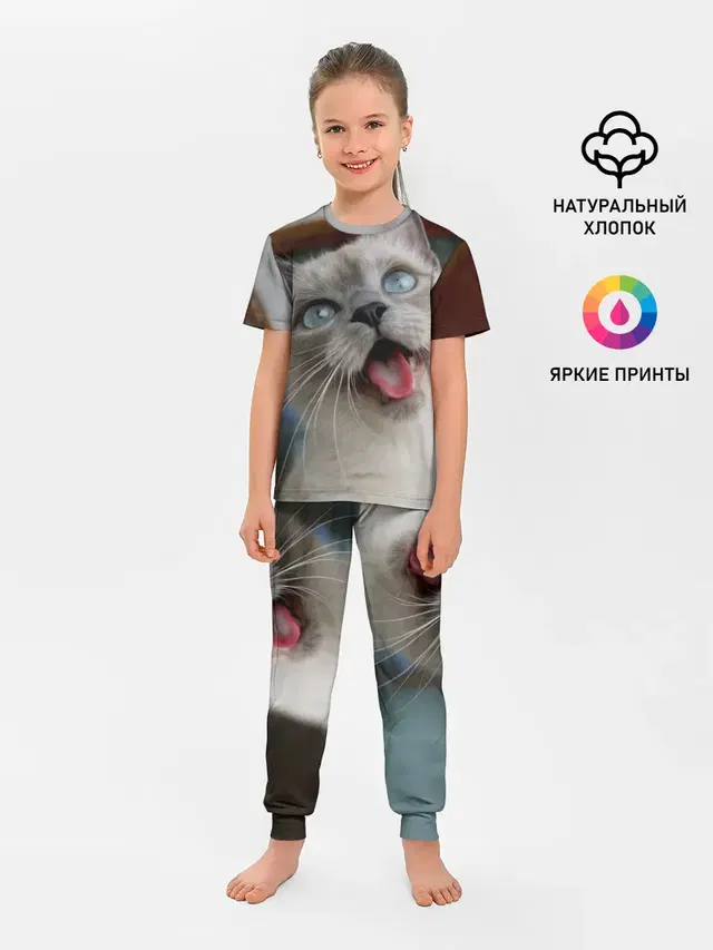 Сиамский котенок