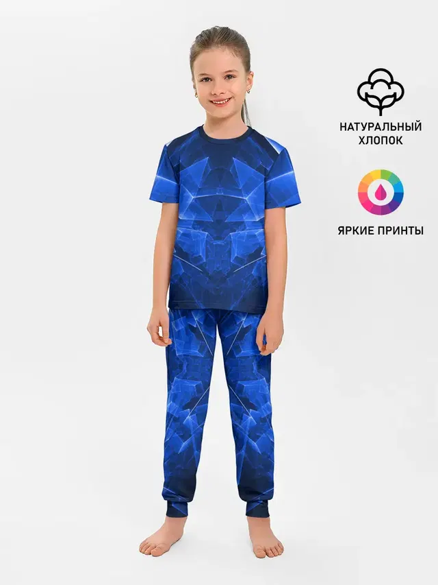 СИНЯЯ БРОНЯ
