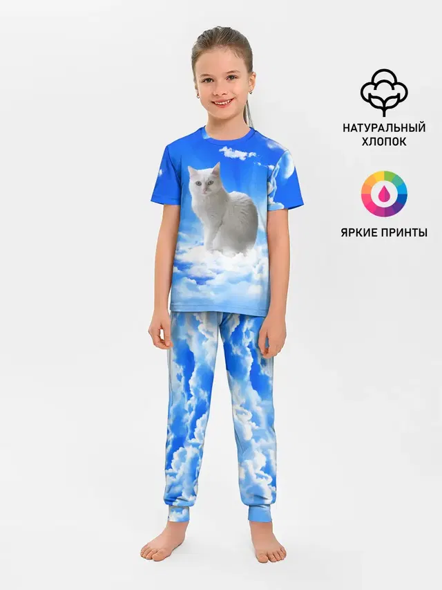 Кот в облаках