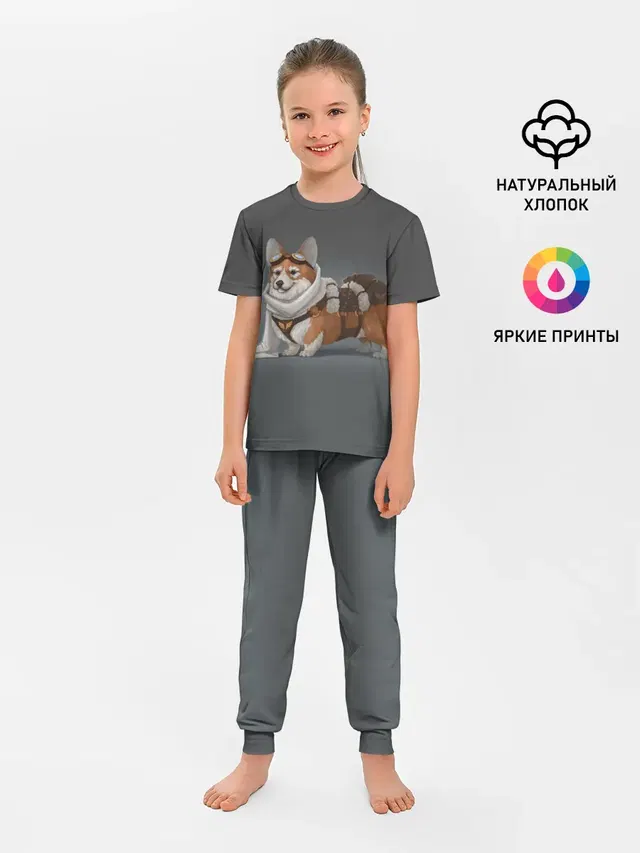 КОРГИ ПИЛОТ