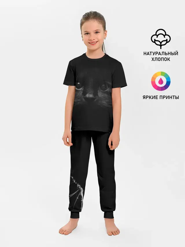Чёрный кот