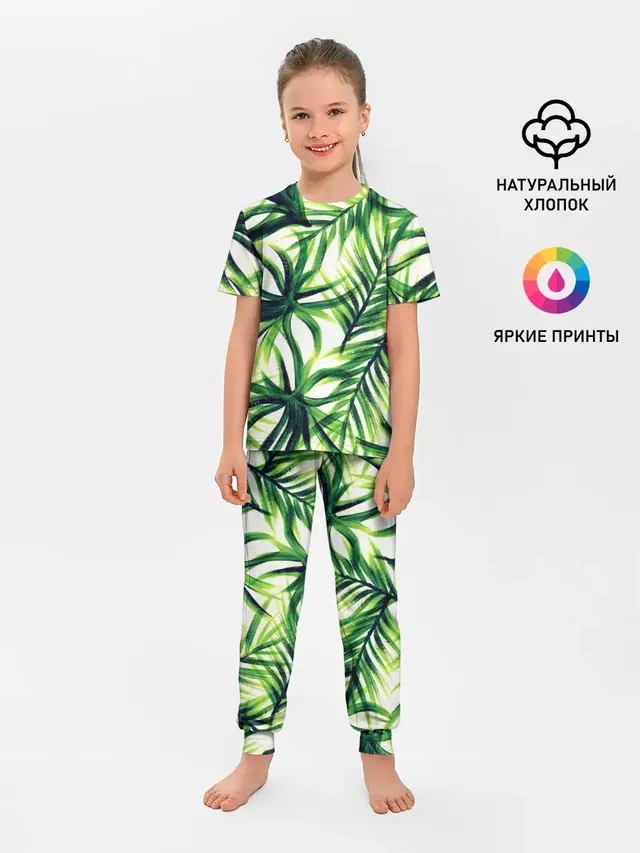 Тропики