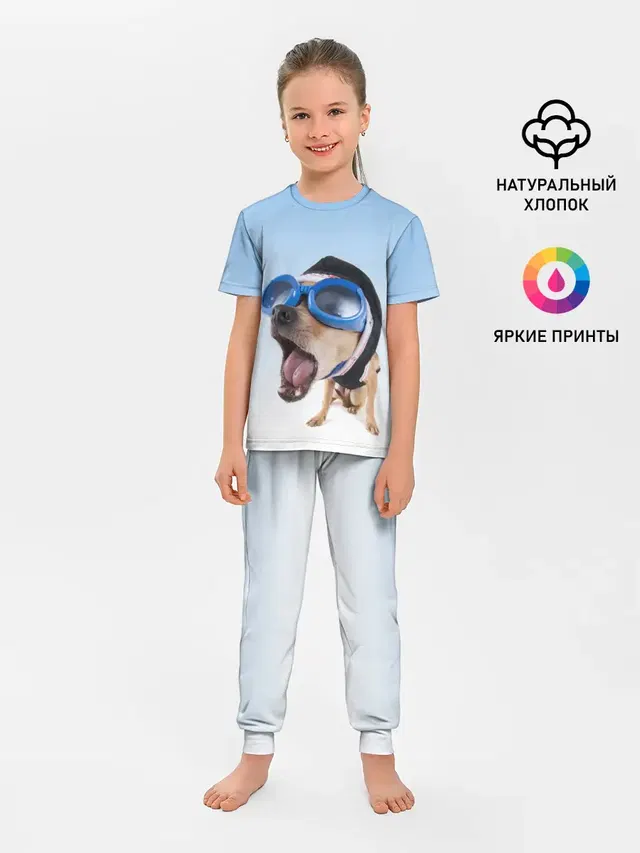 собака в очках