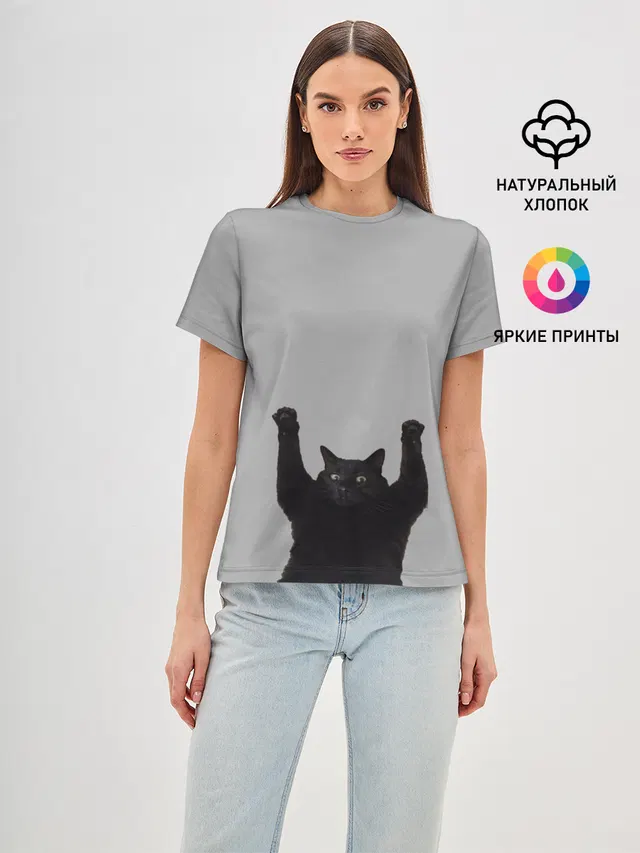 Кот сдается