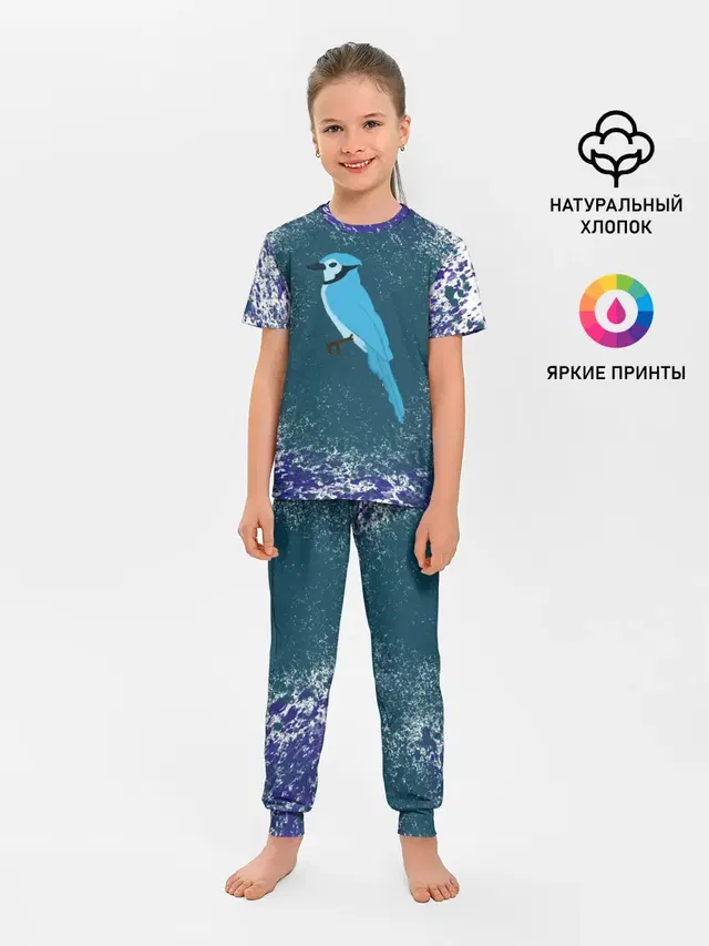 Голубая сойка