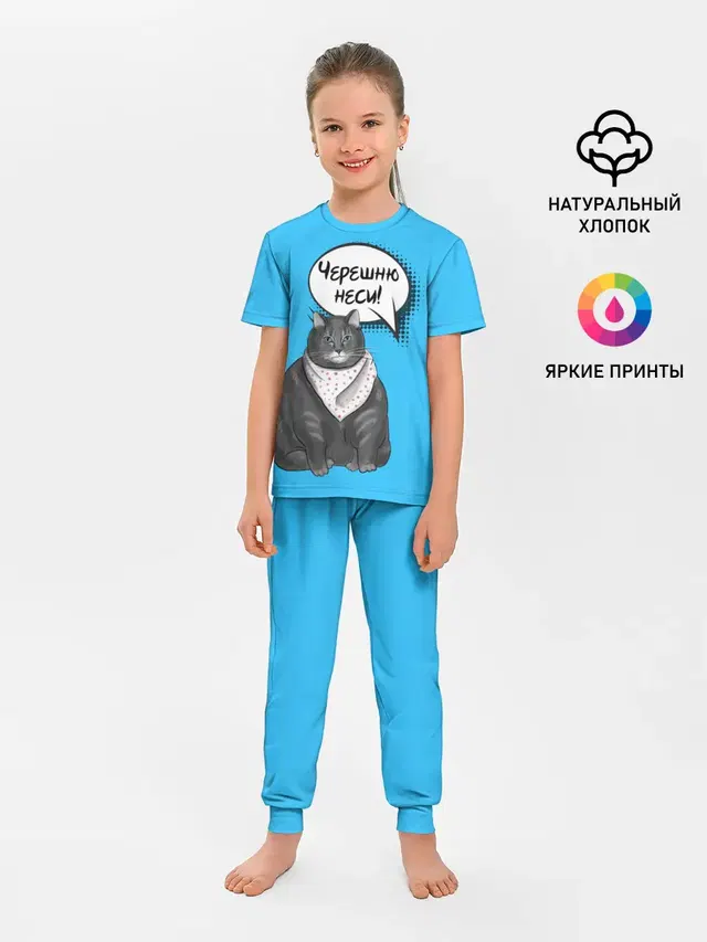 Толстый кот