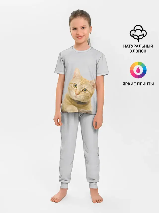 Рыжий котик