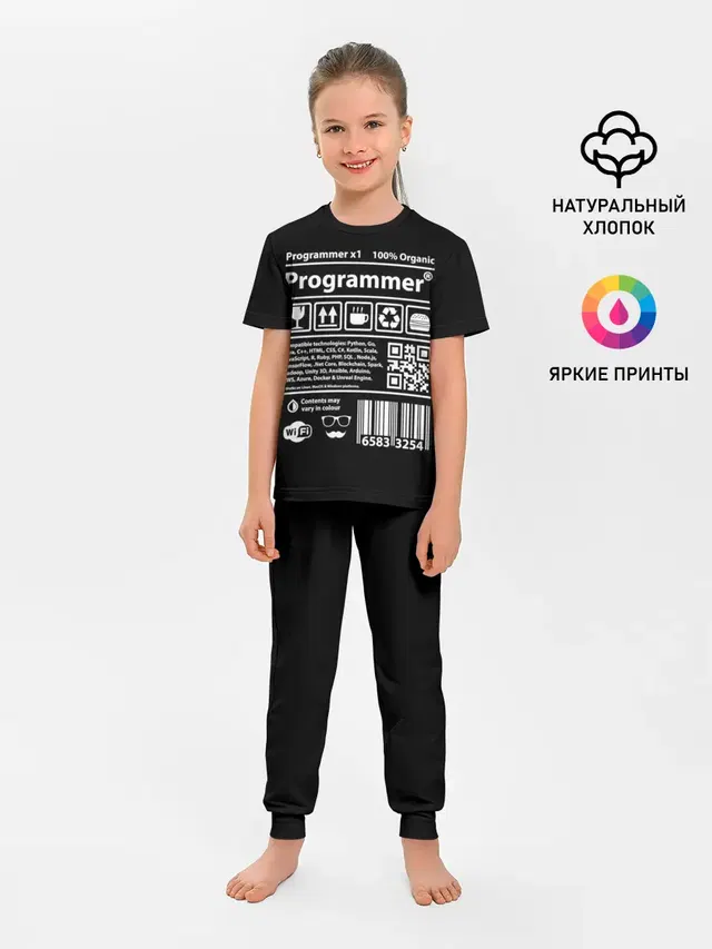 Programmer