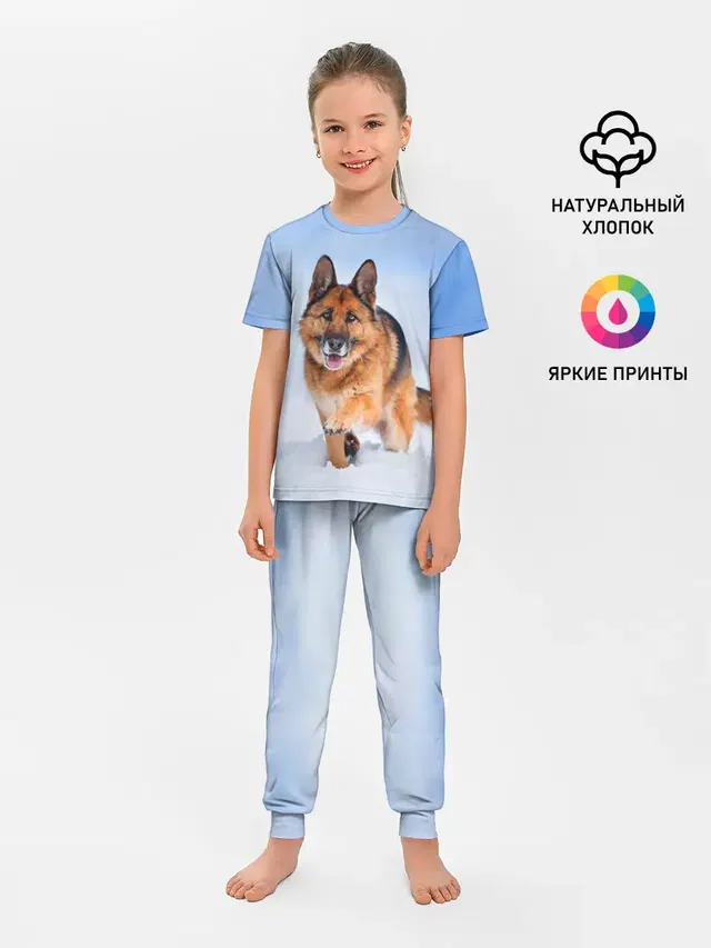 Овчарка и снег