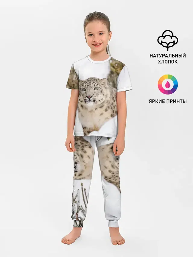 Ирбис