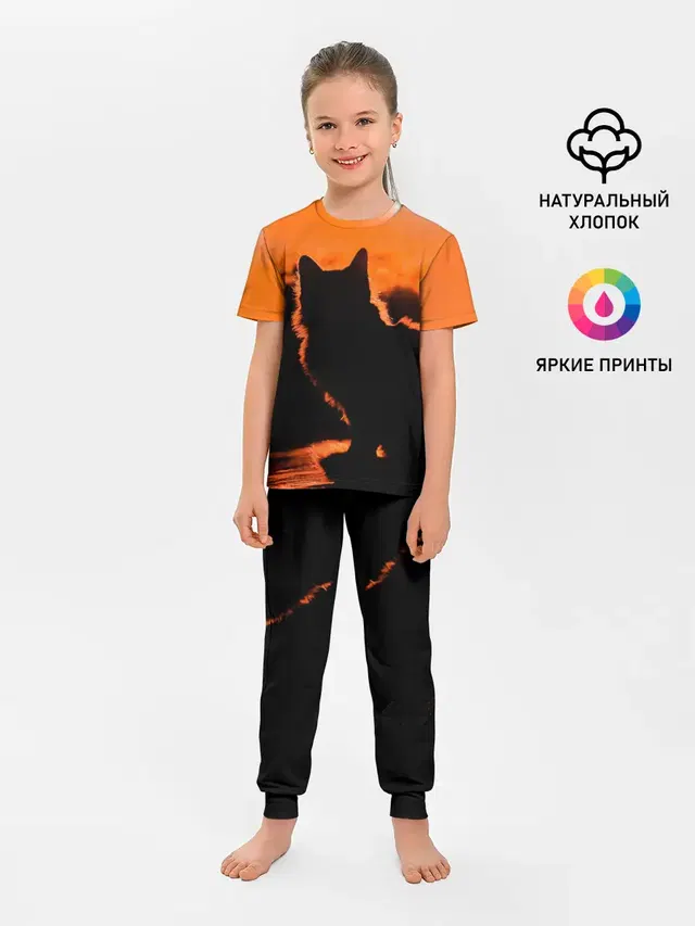 Котенок на фоне заката