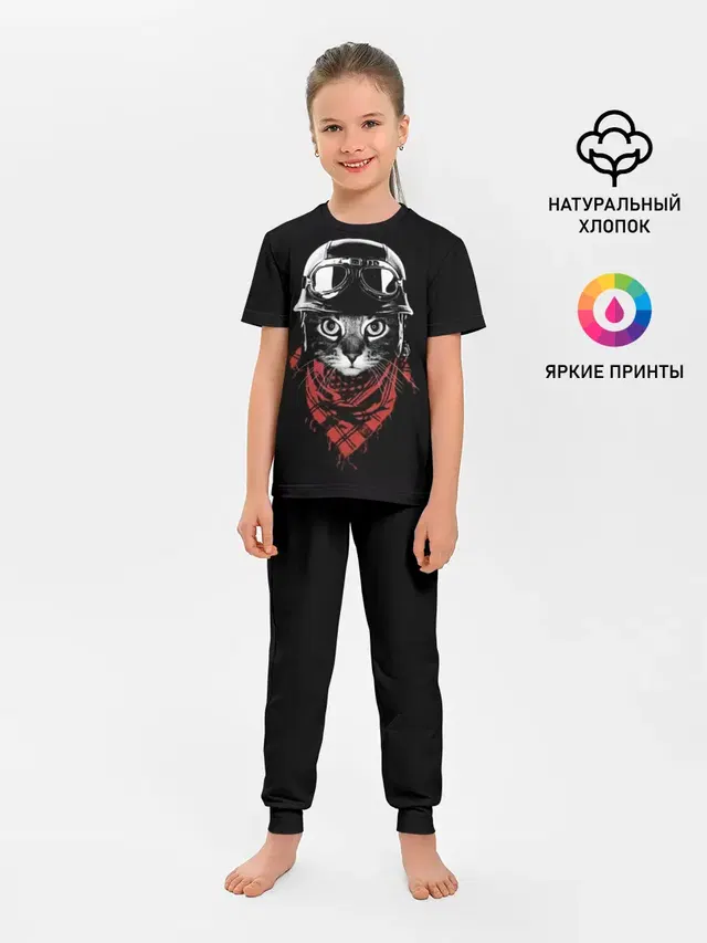 Кот в каске