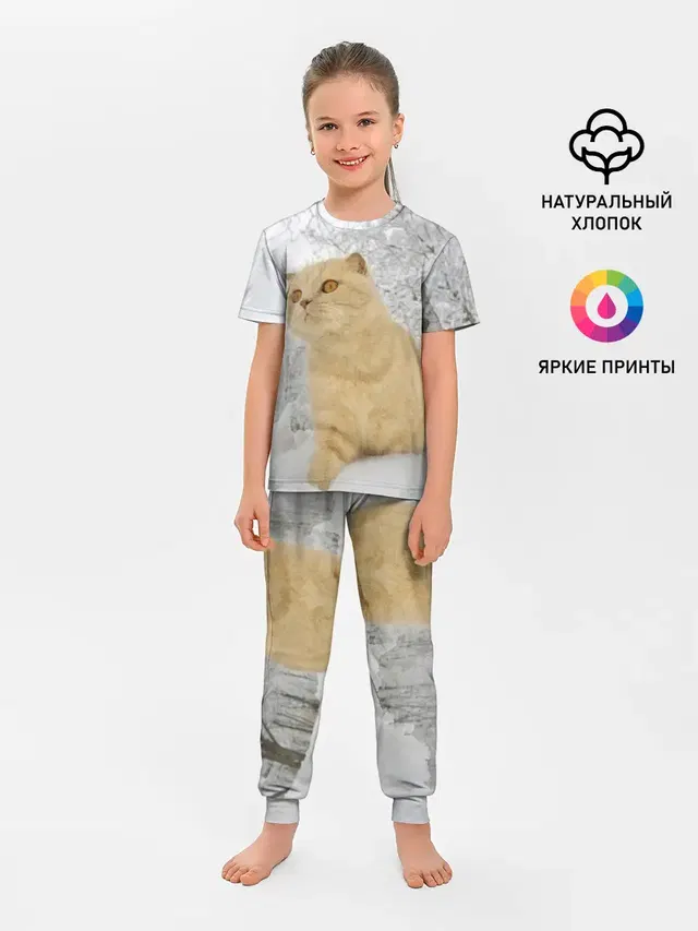 Кот и снег