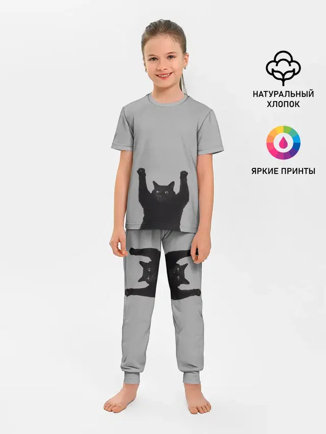 Кот сдается