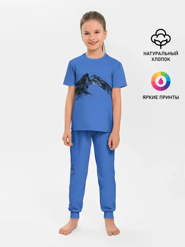 Тень ворона