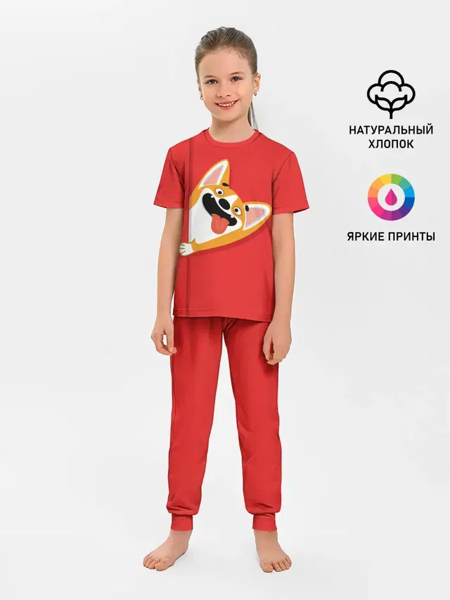 Вельш Корги Пемброк