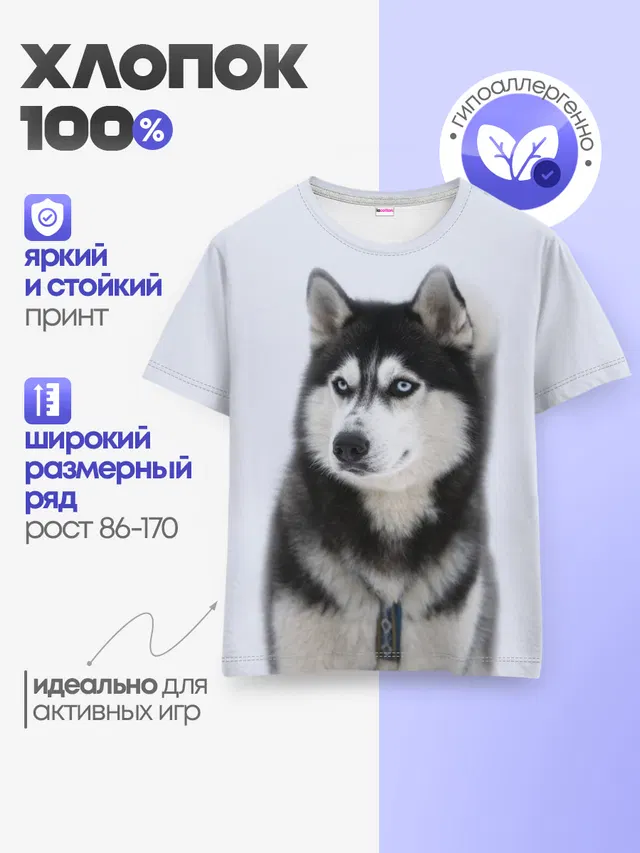 ХАСКИ