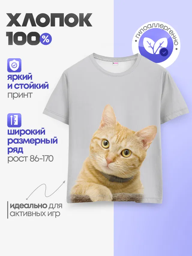 Рыжий котик