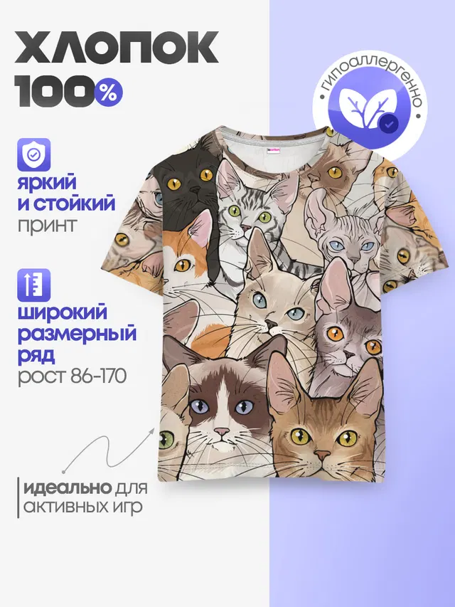 Котики
