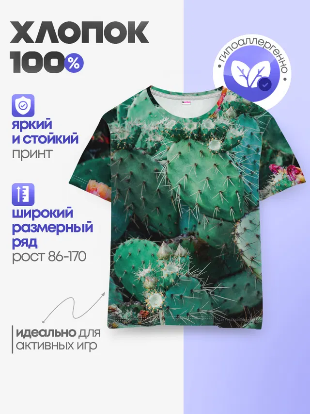 кактусы с цветами реализм