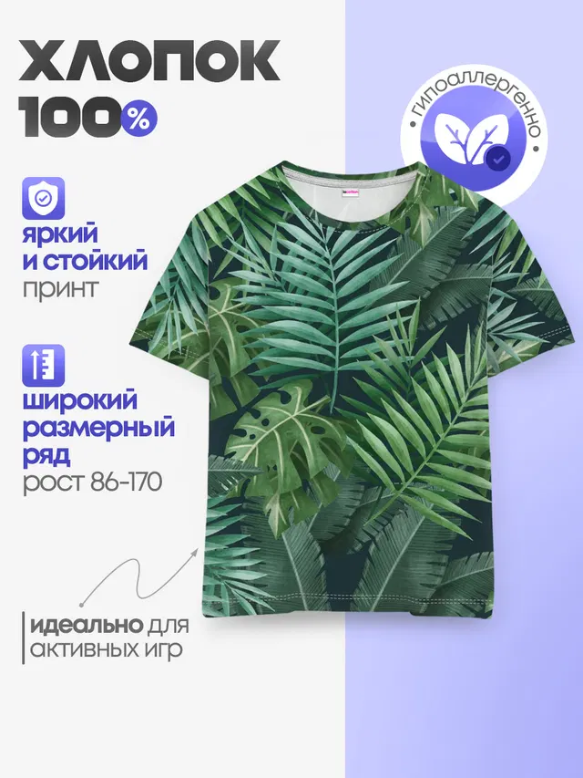 Тропики