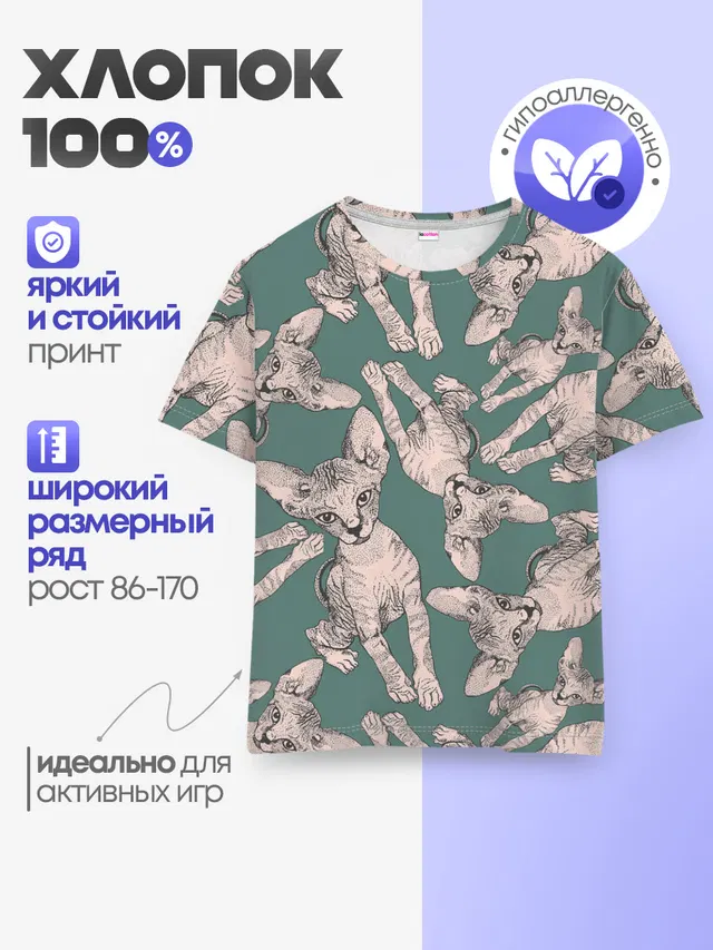 Котёнок сфинкса