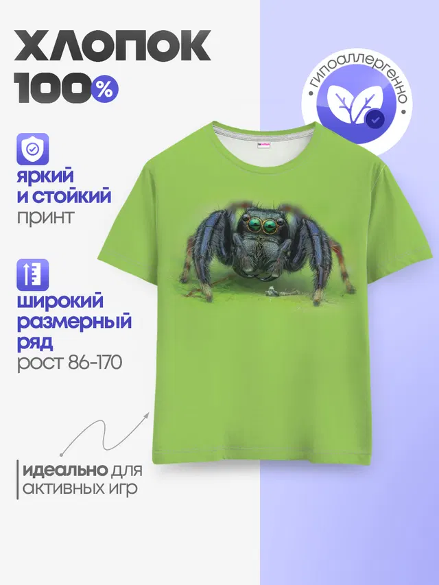 ПАУК С ГЛАЗКАМИ