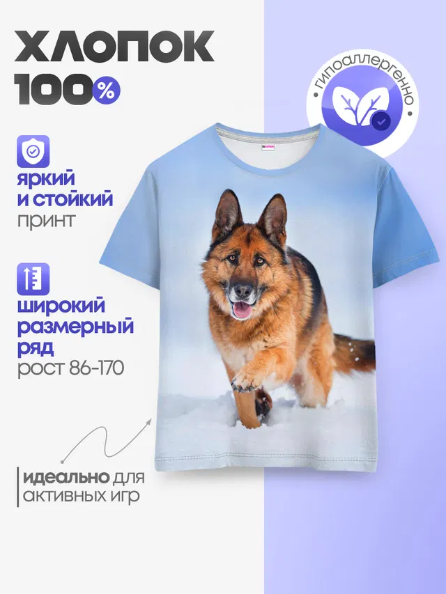 Овчарка и снег