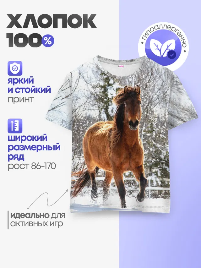 Конь и снег