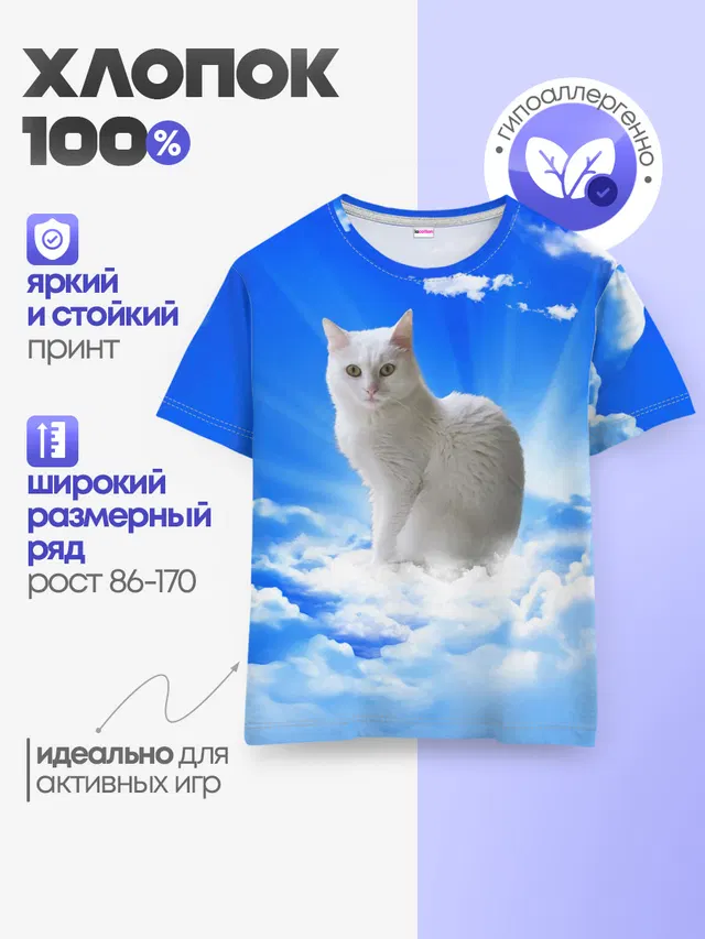 Кот в облаках