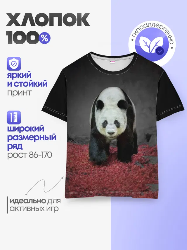 ПАНДА