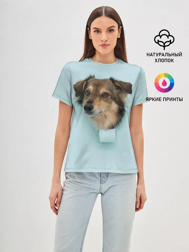 Беспородная Собака дворняга / A Dog
