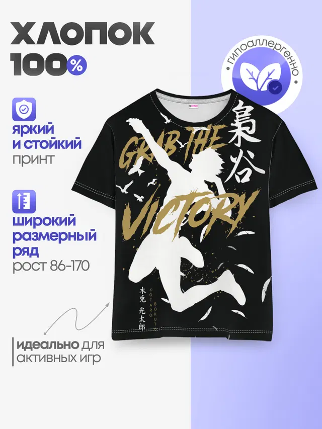 Haikyu Grab The Victory