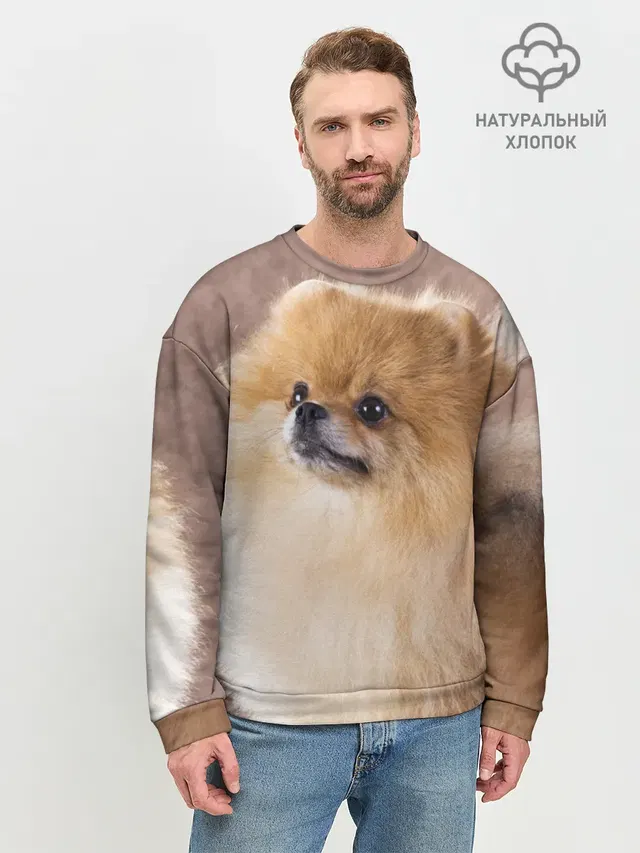 Шпитс