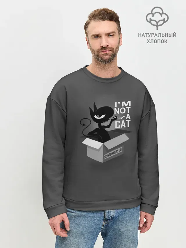 Мужской свитшот базовый