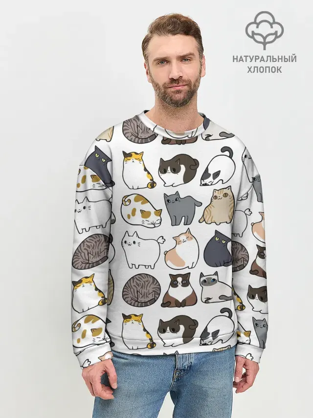 Котики