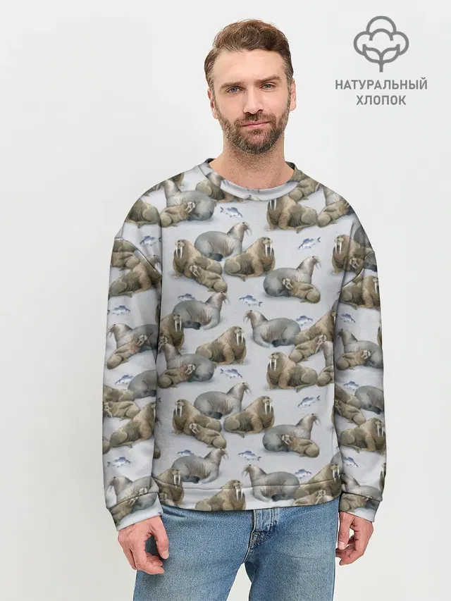 Моржи