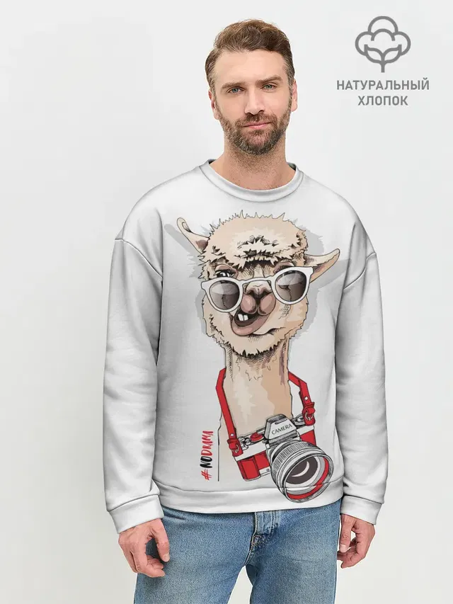 Мужской свитшот базовый