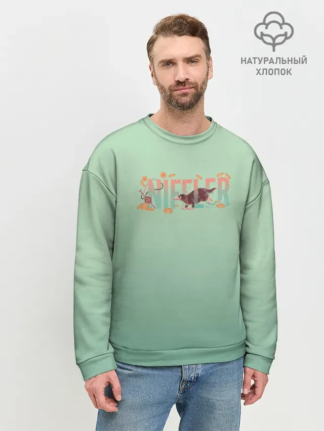 Мужской свитшот базовый